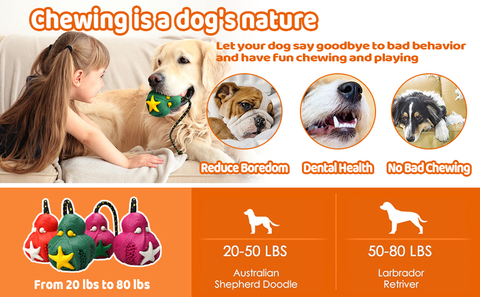 The Best Dog Dental Toys That Help Your Dog’s Teeth